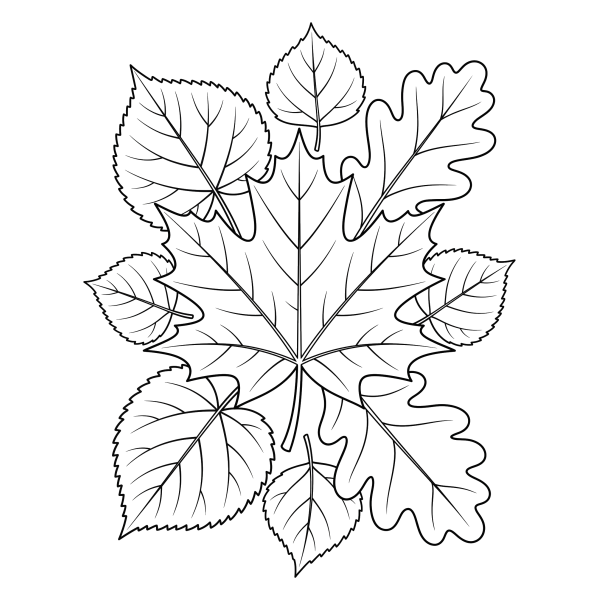 Coloriage Coloriage Automne Feuille à imprimer