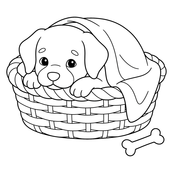 Coloriage Coloriage Chien dans un Panier à imprimer
