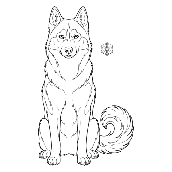 Coloriage Coloriage Chien Husky à imprimer