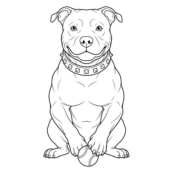 Coloriage Coloriage Chien Pitbull à imprimer