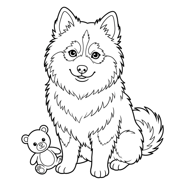 Coloriage Coloriage Chien Pomsky à imprimer