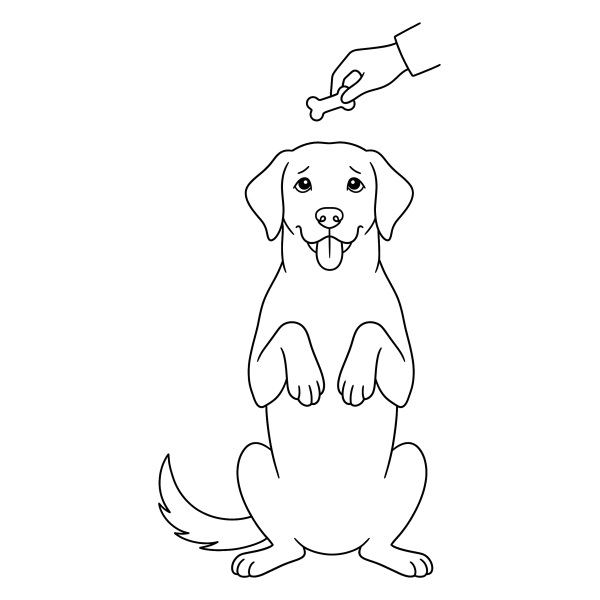 Coloriage Coloriage Chien qui Fait le Beau à imprimer