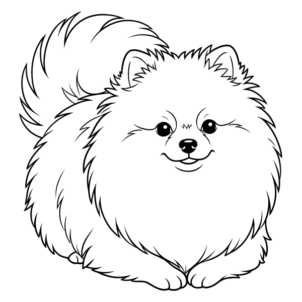 Coloriage Coloriage Chien Spitz Nain à imprimer