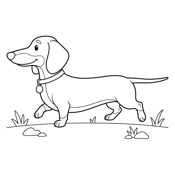 Coloriage Coloriage Chien Teckel à imprimer