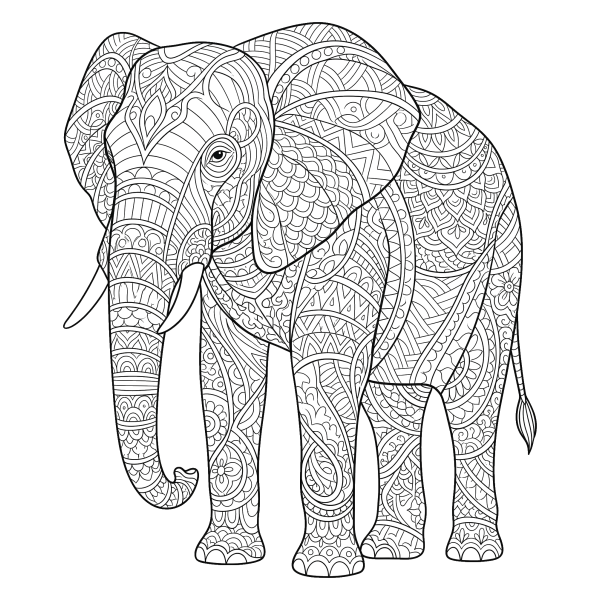 Coloriage Coloriage Éléphant Adulte à imprimer