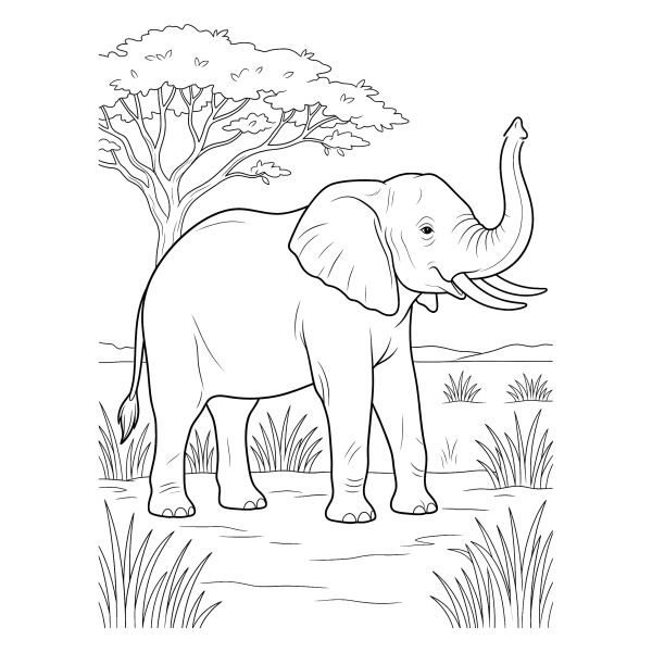 Coloriage Coloriage Éléphant à imprimer