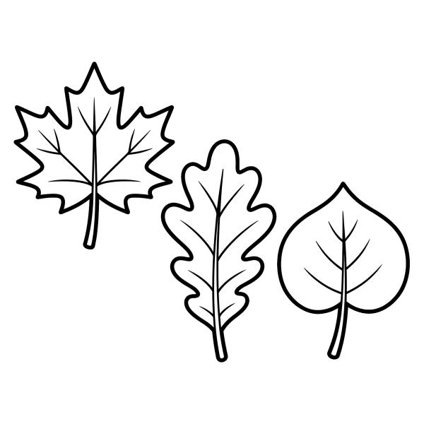Coloriage Coloriage Feuille Automne Petite Section à imprimer