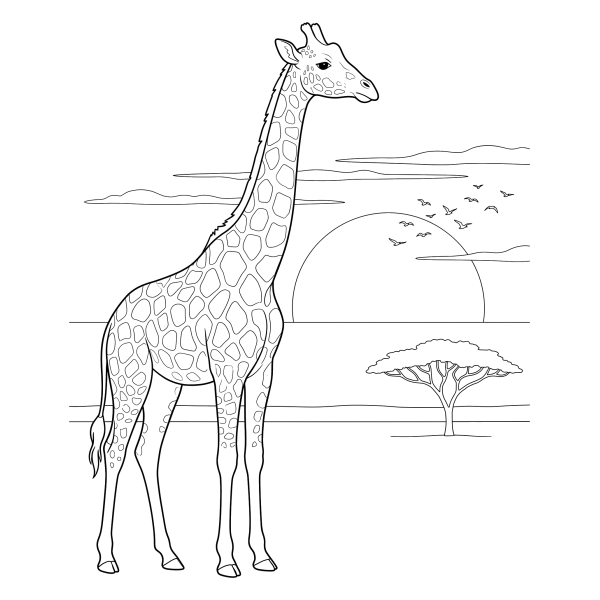Coloriage Coloriage Girafe et Coucher de Soleil à imprimer