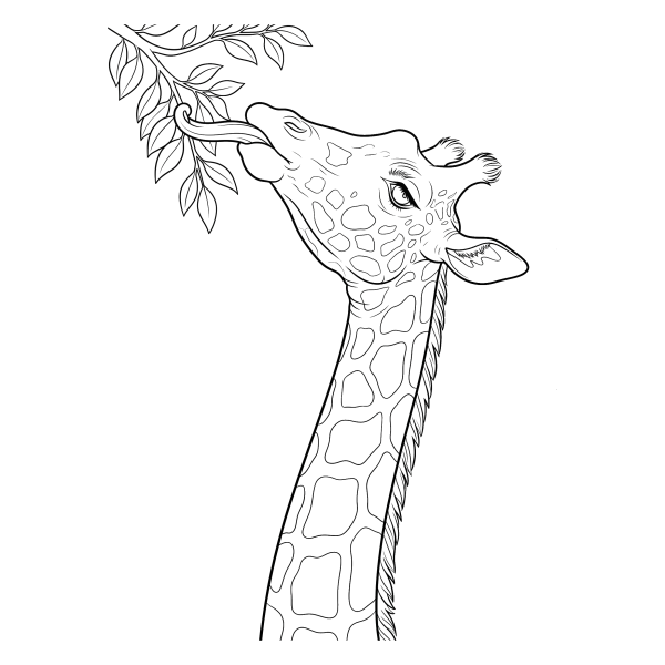 Coloriage Coloriage Girafe qui Attrape des Feuilles à imprimer