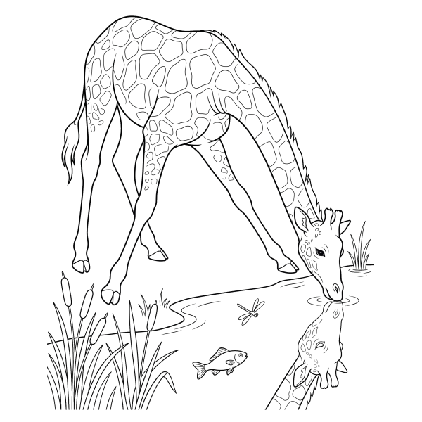 Coloriage Coloriage Girafe qui Boit à la Rivière à imprimer
