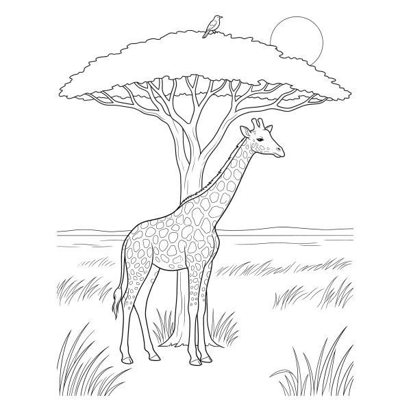 Coloriage Coloriage Girafe sous l'Acacia à imprimer