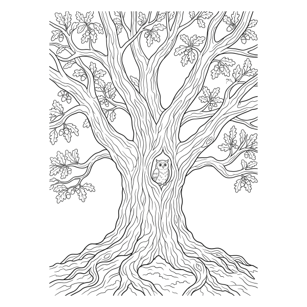 Coloriage Coloriage Grand Chêne à imprimer