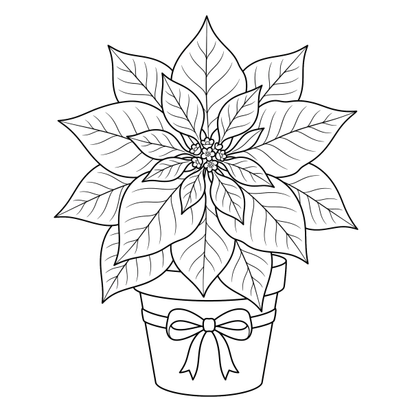Coloriage Coloriage Noël Étoile de Noël à imprimer