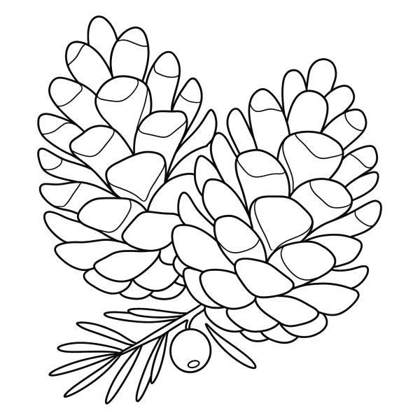 Coloriage Coloriage Noël Pomme de Pin à imprimer