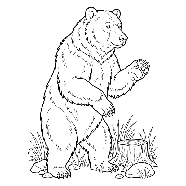 Coloriage Coloriage Ours Brun à imprimer