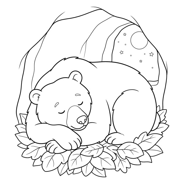 Coloriage Coloriage Ours Endormi à imprimer