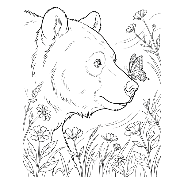 Coloriage Coloriage Ours et Papillon à imprimer