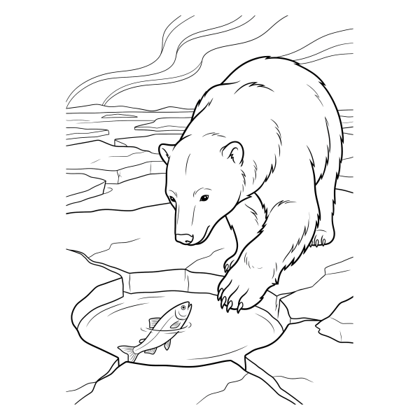 Coloriage Coloriage Ours Polaire à imprimer