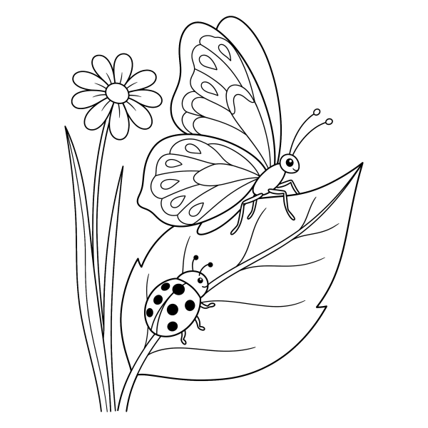 Coloriage Coloriage Papillon et Coccinelle à imprimer