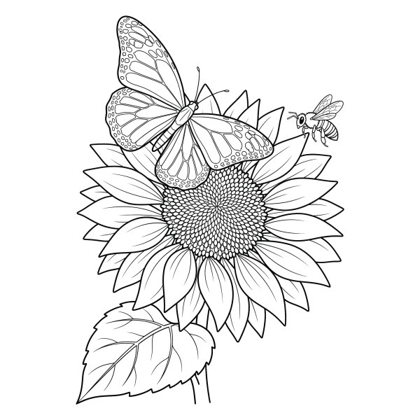 Coloriage Coloriage Papillon et Tournesol à imprimer