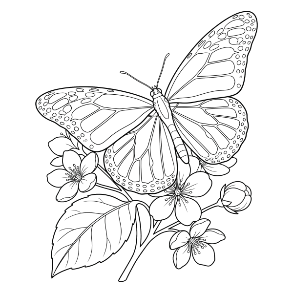 Coloriage Coloriage Papillon Monarque à imprimer