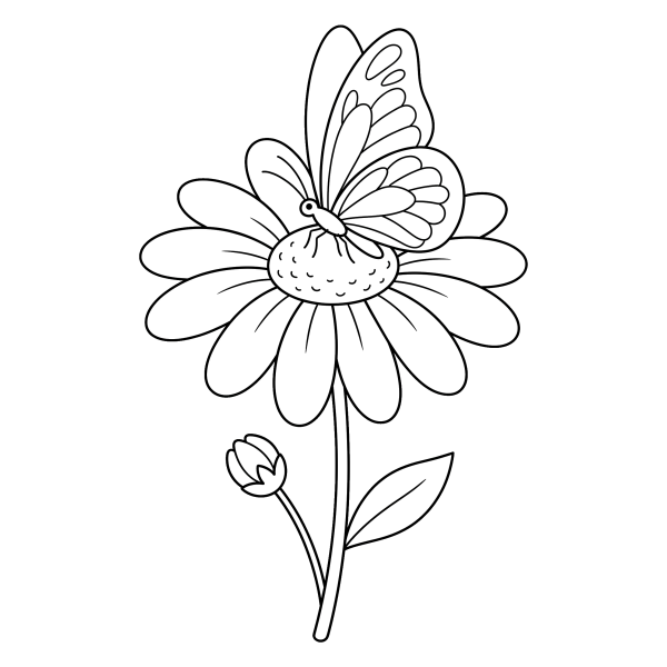 Coloriage Coloriage Papillon Posé sur une Marguerite à imprimer