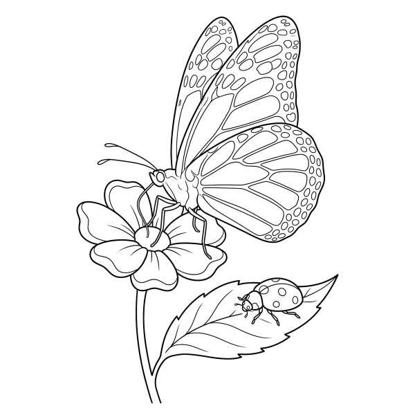 Coloriage Coloriage Papillon sur une Fleur à imprimer