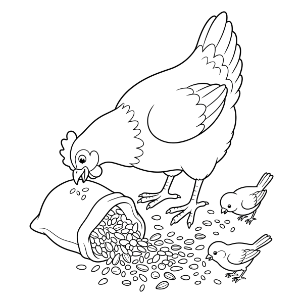 Coloriage Coloriage Poule au Milieu des Graines à imprimer