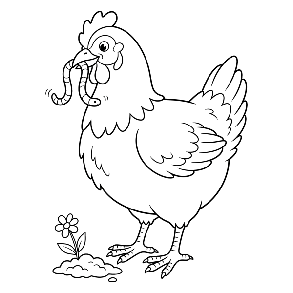 Coloriage Coloriage Poule avec un Ver de Terre à imprimer