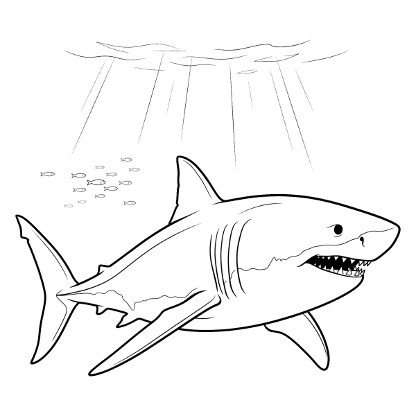 Coloriage Coloriage Requin Blanc à imprimer