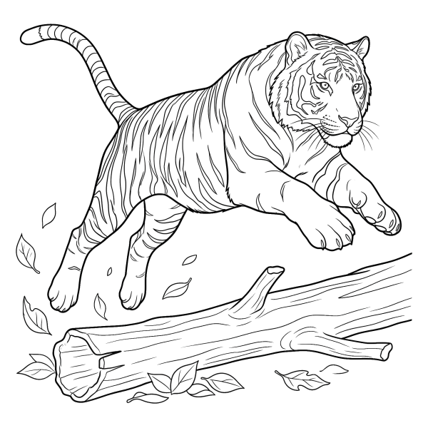 Coloriage Coloriage Tigre qui Bondit à imprimer