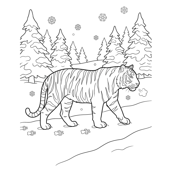 Coloriage Coloriage Tigre qui Marche dans la Neige à imprimer