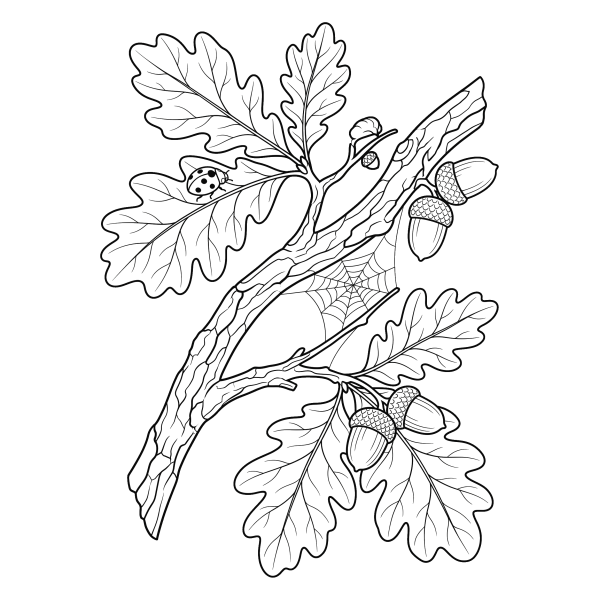 Coloriage Dessin Automne Réaliste à imprimer