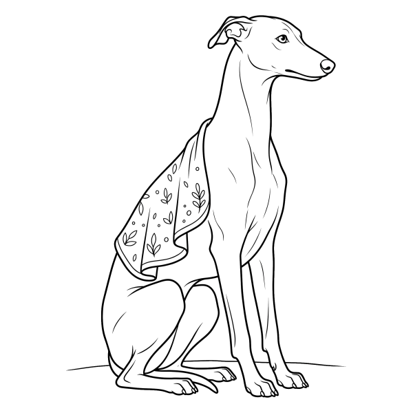 Coloriage Dessin Chien Whippet à imprimer