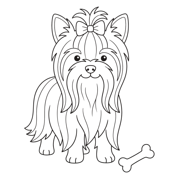Coloriage Dessin Chien Yorkshire Facile à imprimer