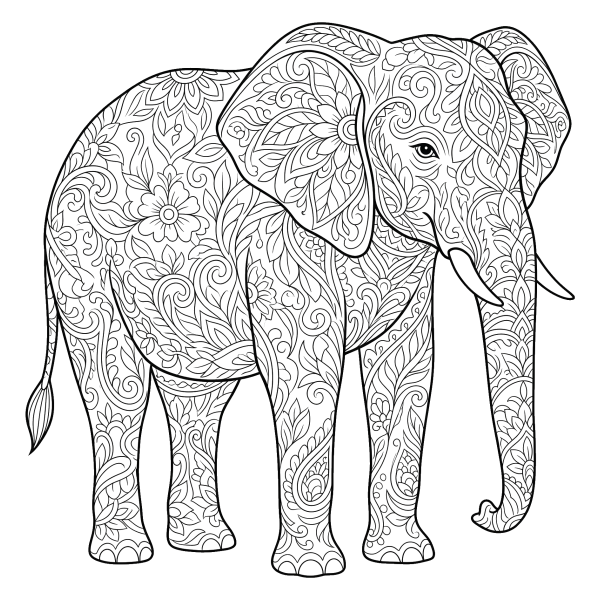 Coloriage Dessin Éléphant Adulte à imprimer