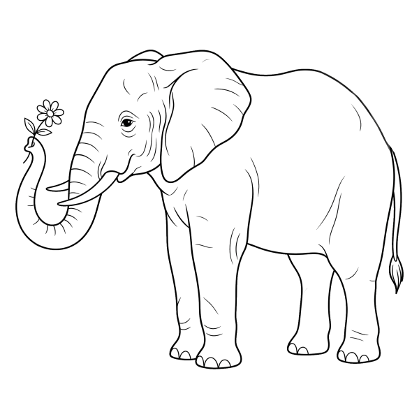 Coloriage Dessin Éléphant de Profil à imprimer