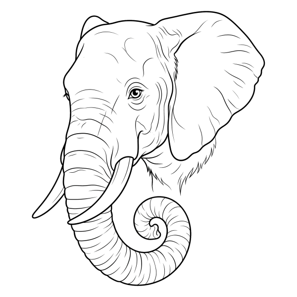 Coloriage Dessin Éléphant Facile Tête à imprimer