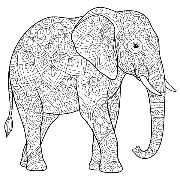 Coloriage Dessin Éléphant Mandala Couleur à imprimer