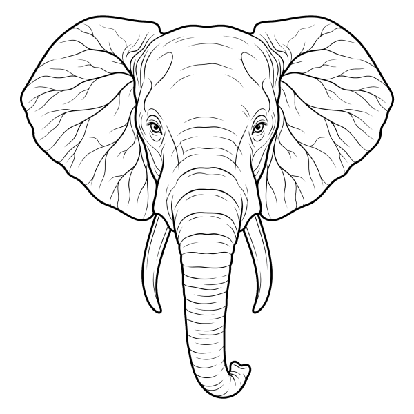 Coloriage Oreille d'Éléphant Dessin à imprimer